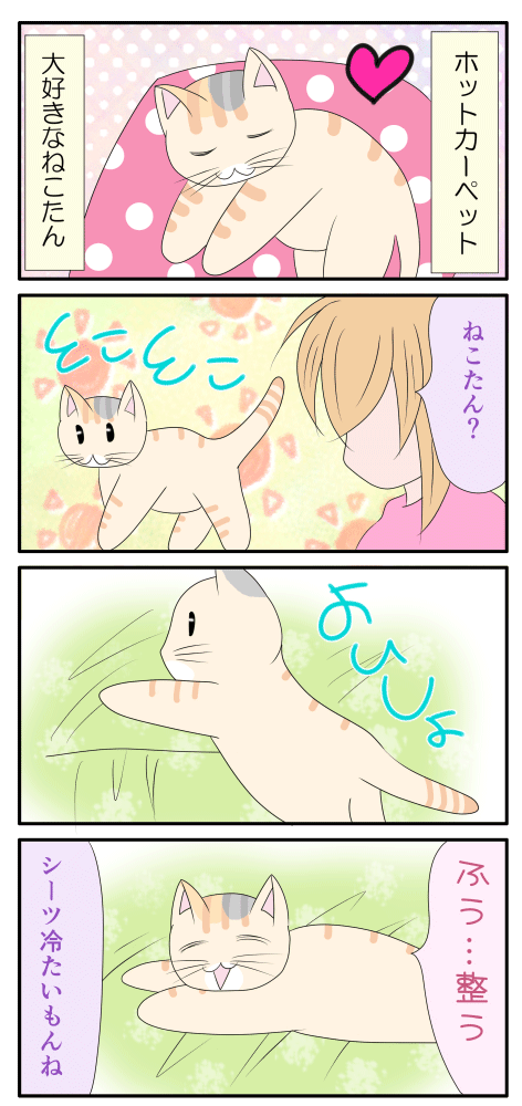 整える漫画
